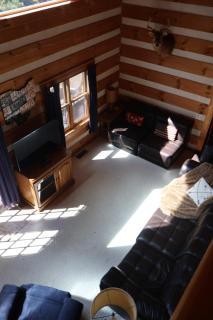 Cozy cabin villa with hot tub and fire pit - 4