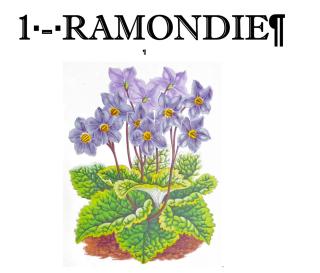Résidence des Jardins, wifi, centre Luchon - 8