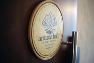 Arauco Loft, triplex de 150 m2 frente al Lago Nahuel Huapi - 1