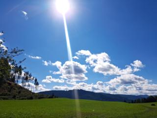 Lerchbaumerhof - 2
