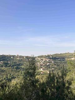 Pine Forest Camping in Kobayat - 3