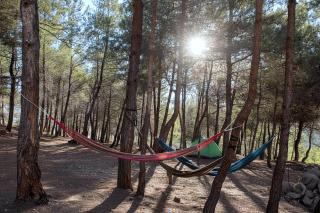 Pine Forest Camping in Kobayat - 1