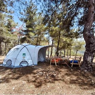Pine Forest Camping in Kobayat - 0