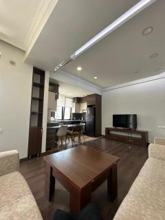 Roomy apartment in Ani Residence - 8