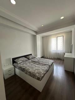 Roomy apartment in Ani Residence - 3