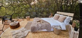 WildEscape Glamping Dome, Mount Galicica - 0