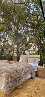 WildEscape Glamping Dome, Mount Galicica - 9