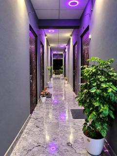 Lavish Abode Green & Black Suite - 2