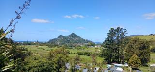 Paku view - 9