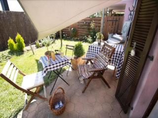 Flat in Alsace near Vosges Nature Park - 8