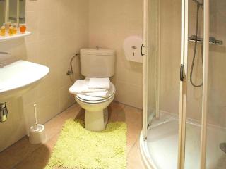 Flat in Alsace near Vosges Nature Park - 4