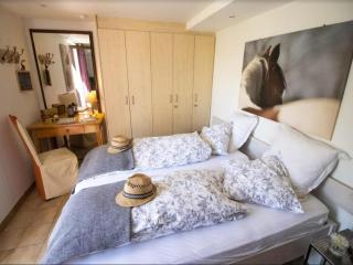 Flat in Alsace near Vosges Nature Park - 0