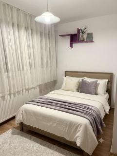 Cozy Room for Female Guests - 0