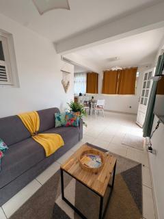 Appartement T2 climatisé avec parking privé Trois Ilets - 9
