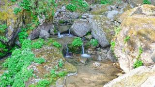 Gapyeong Dotori Pension - 8