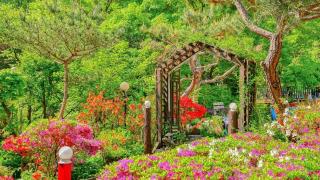 Gapyeong Dotori Pension - 3