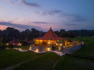 Carik Mesari Tropical Pool Villa Ubud - 0