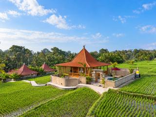 Carik Mesari Tropical Pool Villa Ubud - 8