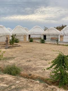 Aydar Yurt Camp - 4