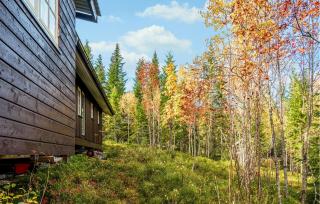 Nice Home In Grong With Sauna - 8