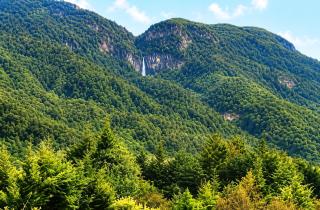 Maverick Camp, Rondavels and Homestay - 3