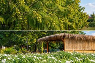 Geeta Bagh Estate- Luxury Farm Retreat with Pool, Pushkar - 2