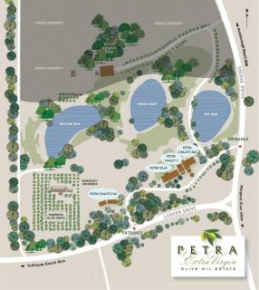 Petra Olive 3 - 9