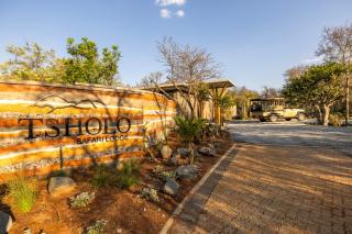 Tsholo Safari Lodge - Matlhagame - 7