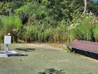 Goseong Lavender Camping Caravan - 7