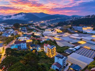 Nexus House An Son Da Lat - Embracing Dalat's Serenity - 4