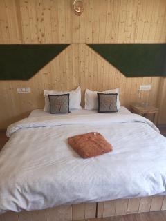 Acoustic Zone - 2