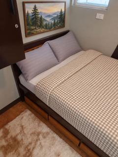 FelySuites Moldex - 3