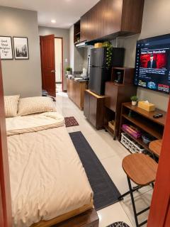 FelySuites Moldex - 2