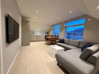 Arctic viewpoint with fantastic view, Free parking - 0
