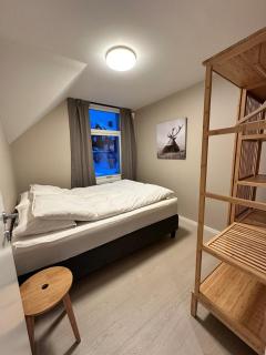 Arctic viewpoint with fantastic view, Free parking - 6