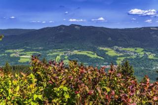 Ferienwohnung Bayrischer Wald - Urlaub in der Natur, Schwimmbad, Relaxen, Sauna - 2