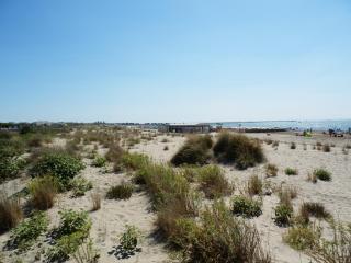 Rivages d'Ulysse Port Camargue - Le Grau-du-Roi - 2