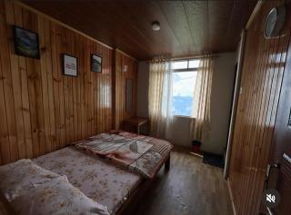 TINY HAVEN Homestay & Cafe - 2