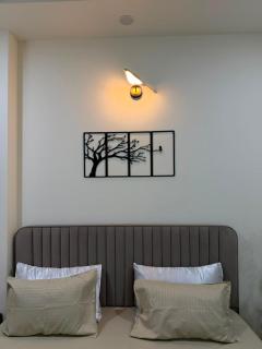 Cozy Comfort - 0