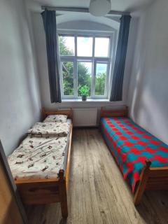 Noclegi u behawiorystki - 8
