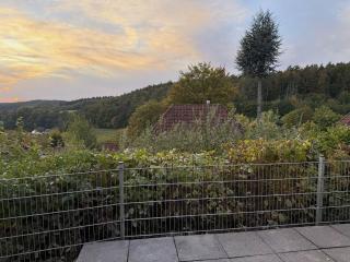 Waldhorizont - 5