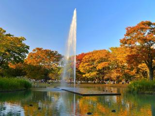 A 5-minute walk from the station 5 minutes by train to Shinjuku Station 萩尾ビル四階五階 - Tokyo - 6