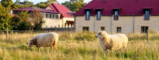 Grand Jardin - Les grandes et petites suites de la Ferme - 7