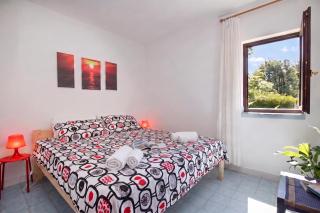Apartments Brankica Island - 5