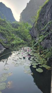Fairy Mountain Retreat - 5