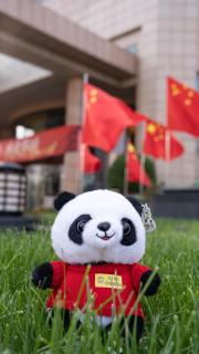 Shangri-La Chengdu - 8