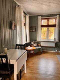 Cozy, small house in the heart of Telemark - 8