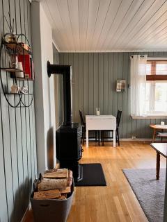 Cozy, small house in the heart of Telemark - 7