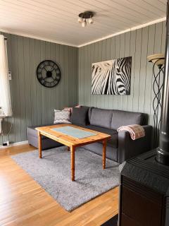 Cozy, small house in the heart of Telemark - 6