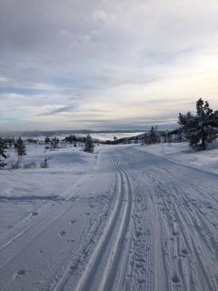Cozy, small house in the heart of Telemark - 5